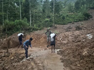 Trail Clearing Operations After Cyclone